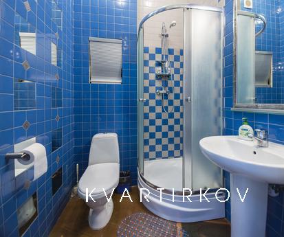 Ultra trendy apartments in the center, Kyiv - apartment by the day