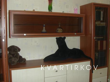 1к.квартира в центре города.10мин от ЖД и АВТО вокзалов.5мин