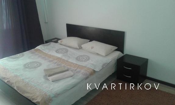 The apartment in the city center, Kyiv - apartment by the day