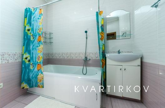 Apartment in the center, Kyiv - apartment by the day