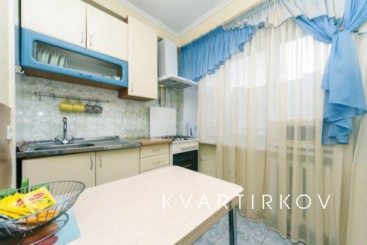 1 кімнатна квартира в центрі міста, Київ - квартира подобово