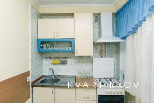 1 bedroom apartment in the city center, Kyiv - apartment by the day
