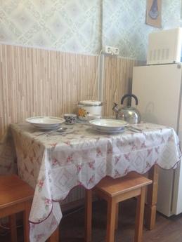 1 bedroom apartment for rent, Saint Petersburg - apartment by the day