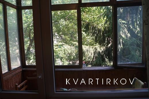 Daily excellent 1BR in the center, Krasnodar - apartment by the day