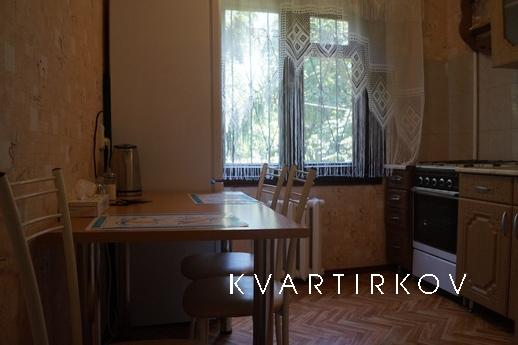 Daily excellent 1BR in the center, Krasnodar - apartment by the day
