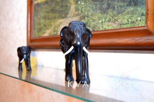 1-комнаная Wi-Fi. Рядом с аквапарком, Казань - квартира посуточно