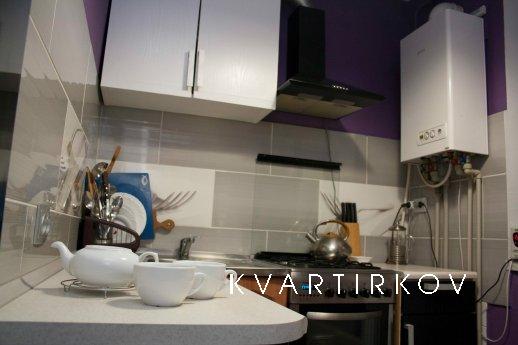 Comfortable apartment in the heart, Truskavets - apartment by the day