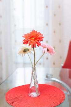 1-комнатная квартира, Центр, Екатеринбург - квартира посуточно