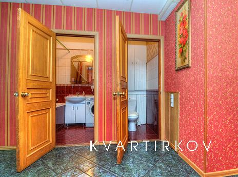 Large apartment in the center, Saint Petersburg - apartment by the day