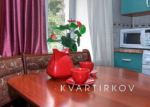 Large apartment in the center, Saint Petersburg - apartment by the day