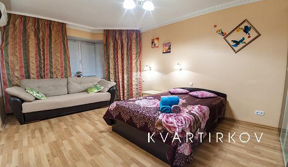 I propose an apartment in Yekaterinburg. Rent a cozy one-bed
