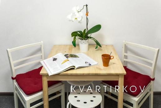 Studio Apartment in the center, Saint Petersburg - apartment by the day