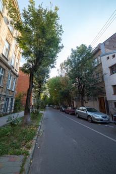 City centre, Lviv - apartment by the day