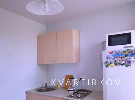 1 bedroom apartment for rent, Moscow - apartment by the day