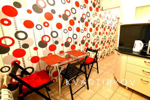 Elegant kittens in the center, Volgograd - apartment by the day