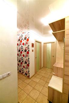 Elegant kittens in the center, Volgograd - apartment by the day