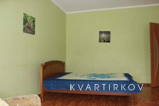 Однокомнатная квартира 45 квадратов, посуточно в центральном