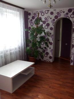 Rent half the house for the summer, Odessa - apartment by the day