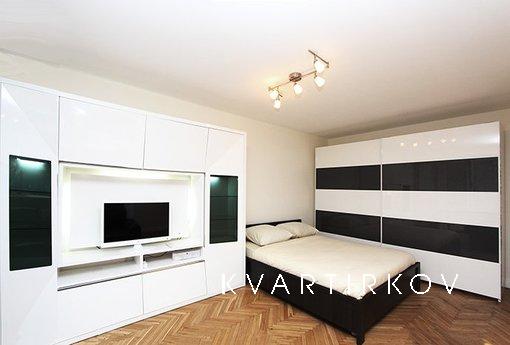 Daily rental rent studio apartment with excellent repair and