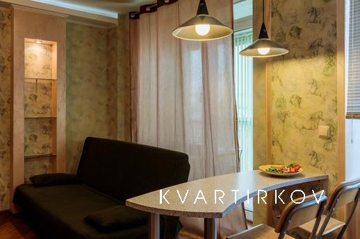 One-room apartments on Gorkovskaya, Saint Petersburg - apartment by the day