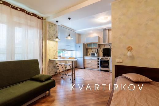 One-room apartments on Gorkovskaya, Saint Petersburg - apartment by the day