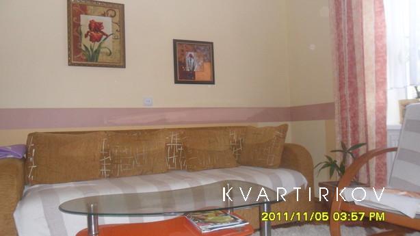An apartment in the Carpathians, Mizhhiria - apartment by the day