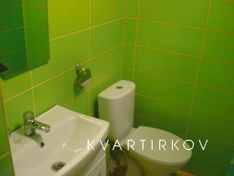 South Station! Cold Mountain!, Kharkiv - apartment by the day