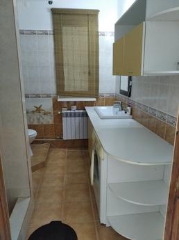 house by the sea, Chernomorsk (Illichivsk) - apartment by the day