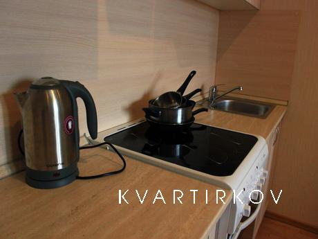 Apartment near the metro, Saint Petersburg - apartment by the day