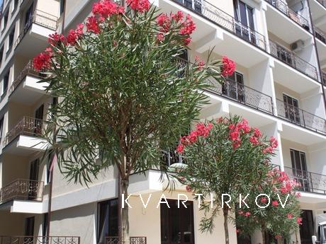 Сдаю квартиру студию в Сочи, Сочи - квартира посуточно