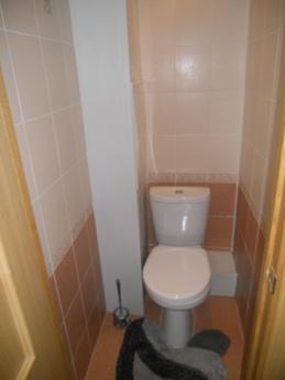 1 bedroom apartment for rent, Tyumen - apartment by the day