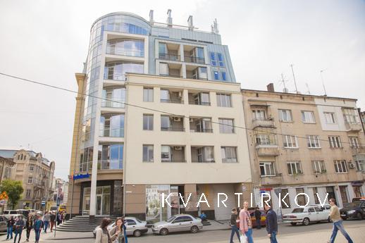 VIP two room apartment in downtown, Lviv - apartment by the day