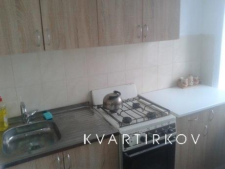 Cozy and beautiful 1 bedroom apartment, Ivano-Frankivsk - apartment by the day