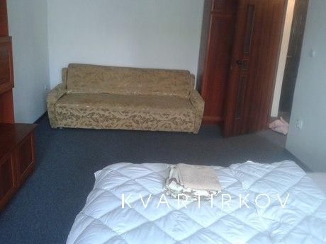 Cozy and beautiful 1 bedroom apartment, Ivano-Frankivsk - apartment by the day