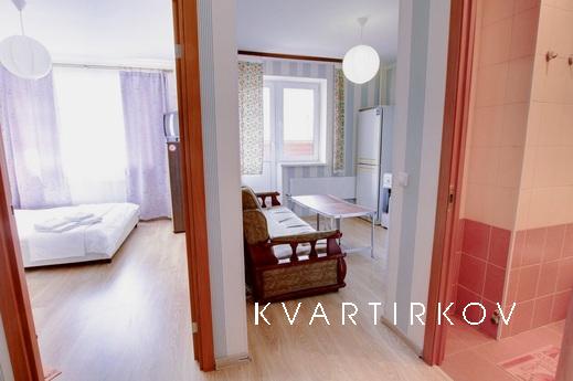 Daily nice apartment in Reutov, Reutov - apartment by the day