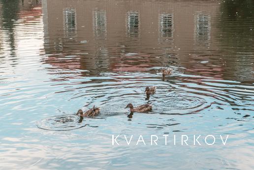 1 комнатная квартира посуточно, Уфа - квартира посуточно