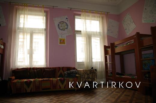Hostel Cats' house, Львов - квартира посуточно