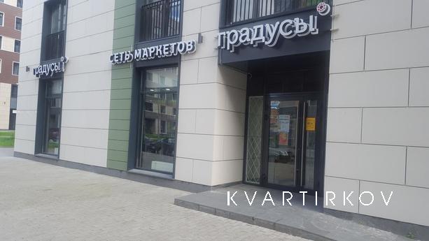 Apartment 9 Kremenchug, Санкт-Петербург - квартира подобово