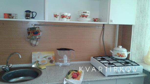 1 bedroom apartment for rent, Moscow - apartment by the day