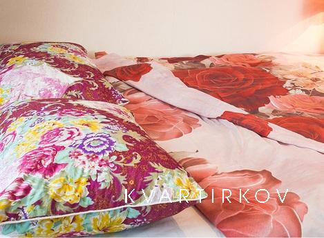 Однокомнатная квартира Ленинский пр 3, Москва - квартира посуточно