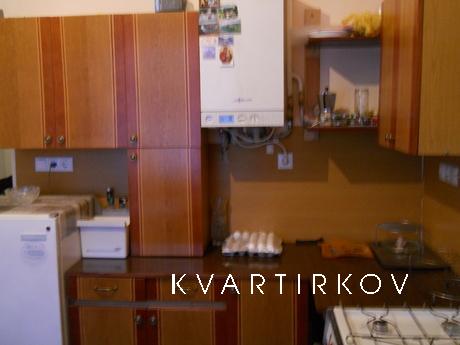 Meet the New Year and holidays, Lviv - apartment by the day