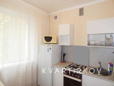 1 bedroom apartment for rent, Moscow - apartment by the day