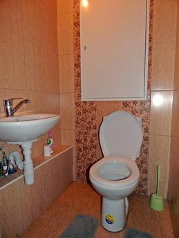 1 bedroom apartment for rent, Moscow - apartment by the day