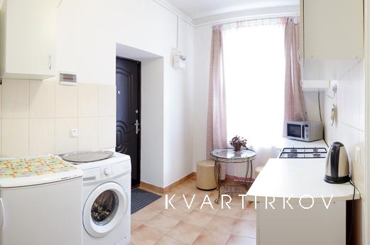 Cozy apartment near Opera, Lviv - apartment by the day
