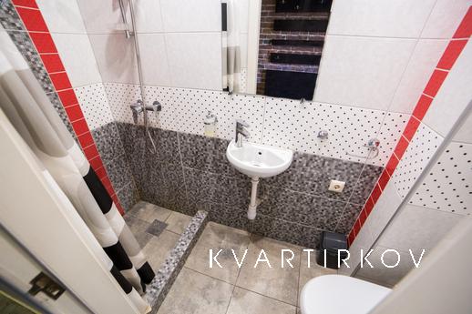 1 bedroom apartment in Loft style, Lviv - apartment by the day