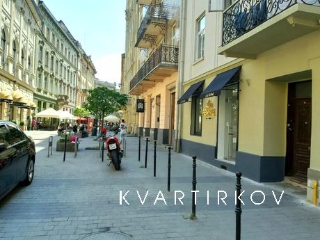 1-bedroom apartment in Lviv, Lviv - apartment by the day