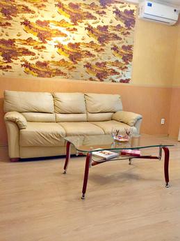 Apartment for Rent in the city center, Rostov-on-Don - apartment by the day