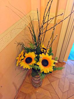 Apartment for Rent in the city center, Rostov-on-Don - apartment by the day