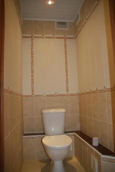 1 bedroom apartment for rent, Тюмень - квартира подобово