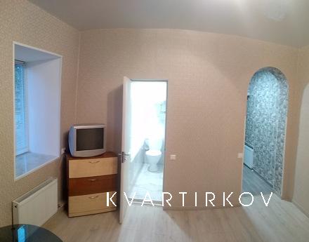 housing for rent, Kropyvnytskyi (Kirovohrad) - apartment by the day